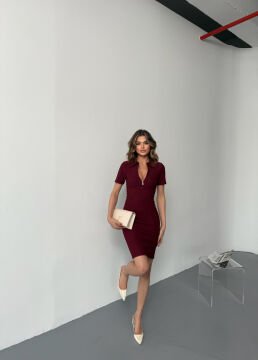 Kadın Fermuarlı Polo Yaka Elbise